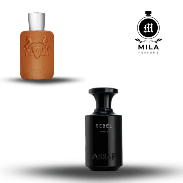 ⁦REBEL ENABLE ASSAF 100 ML⁩ – תמונה ⁦2⁩