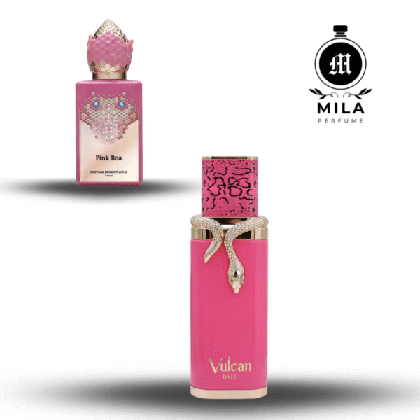 ⁦Vulcan Baie French Avenue Unisex 100 ML⁩ – תמונה ⁦4⁩